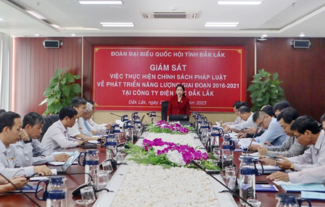 ĐOÀN ĐBQH TỈNH ĐẮK LẮK GIÁM SÁT TẠI CÔNG TY ĐIỆN LỰC ĐẮK LẮK